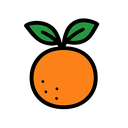 Orange fruit icon